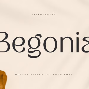 Begonia Regular Font