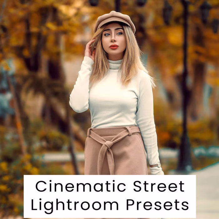 Cinematic Street Lightroom Presets